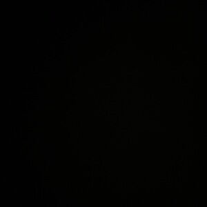 Meet your Posher, Audrey